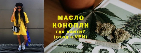сатива Армянск